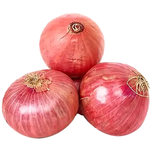 fresho! Onion Economy, Institutional, 1 kg